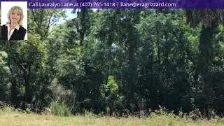 6201 Virginia Anne Lane, Mount Dora, FL 32757 - MLS #G5015106