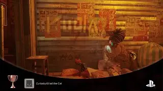 Stray ~ Curiosity Killed the Cat Trophy