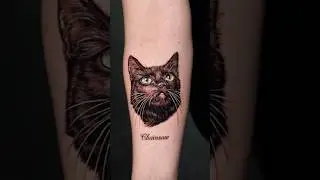 Best furry friends  🐱🐶️🎨 #tattoo #art #cat #ink #texas #shorts #tattooartist #blackandgraytattoo