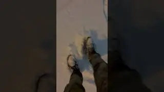 #nieve #snow #winter #snowday #snowfall #snowfun #winterwonderland #coldseason #snowvibes