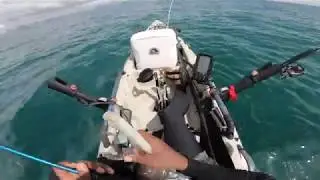 Pesca en Kayak en Panama - Slow Jigging en la Bah&iacute;a de Panam&aacute;