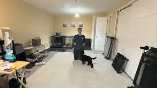 Puppy Clicker Training Part 1