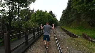 Alishan Sunrise Trail - 阿里山觀日步道