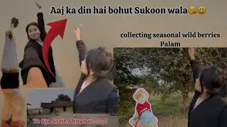 Aaj ka din hai bohut sukoon wala|collecting seasonal wild berries palam @NunuPerme 