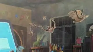 Bats at the Library