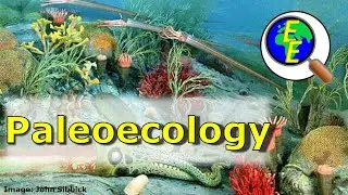 Paleoecology: Reconstructing Ancient Ecosystems