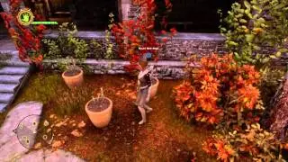 Dragon Age: Inquisition Trophy Tips
