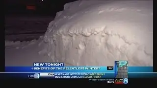 Experts: Snow, cold won't kill bugs