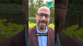 The First Step to HEALING Your Eczema! Food Allergies & Gut Issues