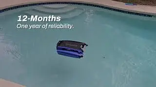 BWT Pool Robot Advanced PRO 250 | Cleans Floor, Walls and Waterline
