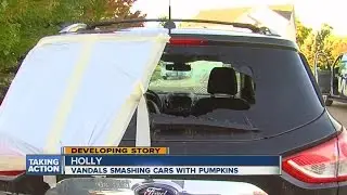 Vandal uses pumpkins to smash out car windows
