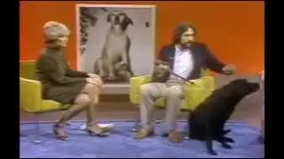 Today Show with Warren Eckstein