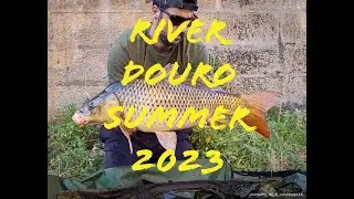 Carpfishing Rio Douro - Carp Life Summer 2023