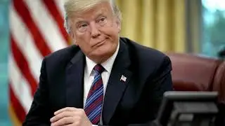 The Very Stable Genius Song (Donald's Remarkable Achievement)  by John Flynn