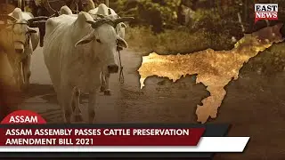 Assam Assembly Passes Cattle Preservation Amendment Bill 2021 | East News