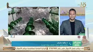 استراتيجية وزارة الزراعة لتذليل عقبات إنتاج القطن وتعزيز الجودة