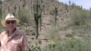 Blooming Desert