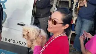 96 Dogs Rescued From Puppy Mills Return Home to Begin Their new Story, Transformation with Love