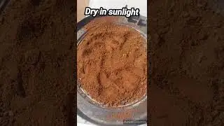 How to store coffee powder waste and use as fertilizer  #storing #coffeepowder #fertilizer
