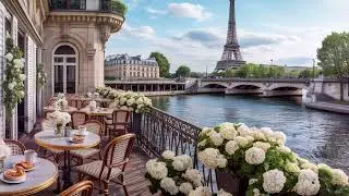 OLD MONEY BRAZIL | Elegant Bossa Nova & Timeless Luxury Instrumental Music Playlist