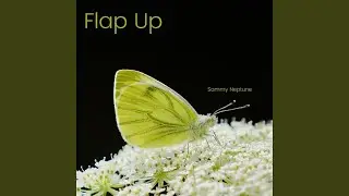 Flap Up
