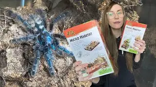 trying NEW tarantula habitats .. did Zilla get it right?
