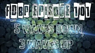 FDBP ep101 - USD Strength has started again
