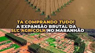 SLC no Maranh&atilde;o: O Impacto de 222 Mil Hectares Plantados