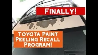 Toyota Rav4 White Paint Peeling Recall Program!