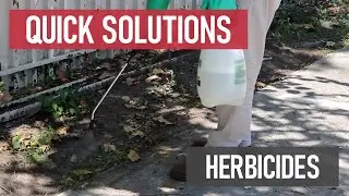 Quick Solutions: What are Herbicides?