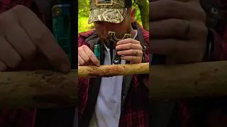 My Favourite Slingshot #slingshot #catapult #skills #trickshot #woods