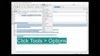 Learn how to remove extra lines in Apache Netbeans IDE 12.5 output console/terminal.