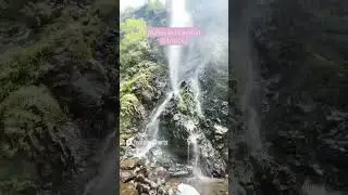 Nature lovers #waterfall #chamba #himachal #mountains #hillpoint #himachaltourism