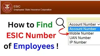 How to Find ESIC Number of Employees !