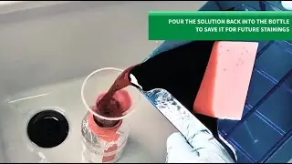 Quick & easy protein quantification for Western Blot with the PDB assay + Analysis in Fiji and Excel