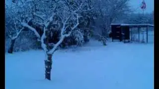Captain Oates In the Snow Jan 2012
