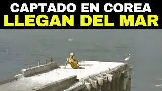 Lo Que Encontraron En Corea Conmocion&oacute; Al Mundo Entero