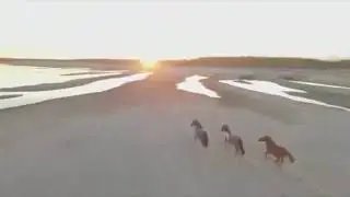 МО Жанхадинский наслег с.Техтюр