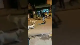 WTF was this shit... Let his soul RIP... Hehe    (funny vdo)