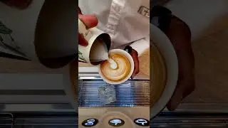 Winged swan latte art 🦢#swanlatteart #coffee #coffeeart #barista #espressoyourself #latteart