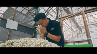 Kaleidoskop 80 Tahun Tong Tji - Marble Production