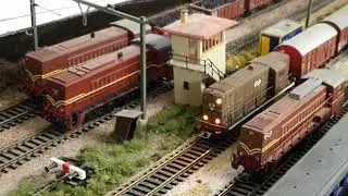 NS Cargo in h0