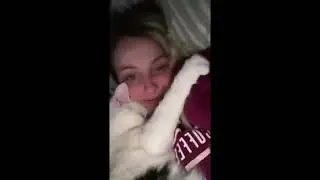 fanny cats wonderful hhhhhh