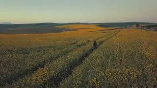 Stunning Free Stock Video by Taryn Elliott | Pexels Video #3126564