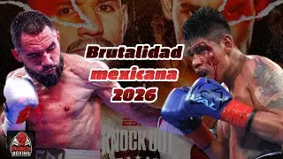 Navarrete vs Sugar Núñez: pelea IMPERDIBLE