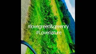 #fallinlovewithnature #Plant a tree, so that the next generation can get air for free.