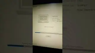System Scan in Progress.