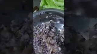 cabbage chicken roll