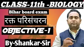 11th  Blood circulation obj 1