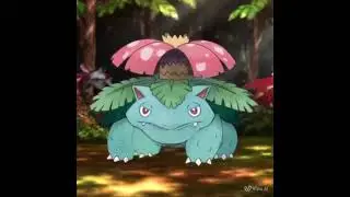 Pok&eacute;mon Evolution - Venusaur to Mega Venusaur (Square Crop)